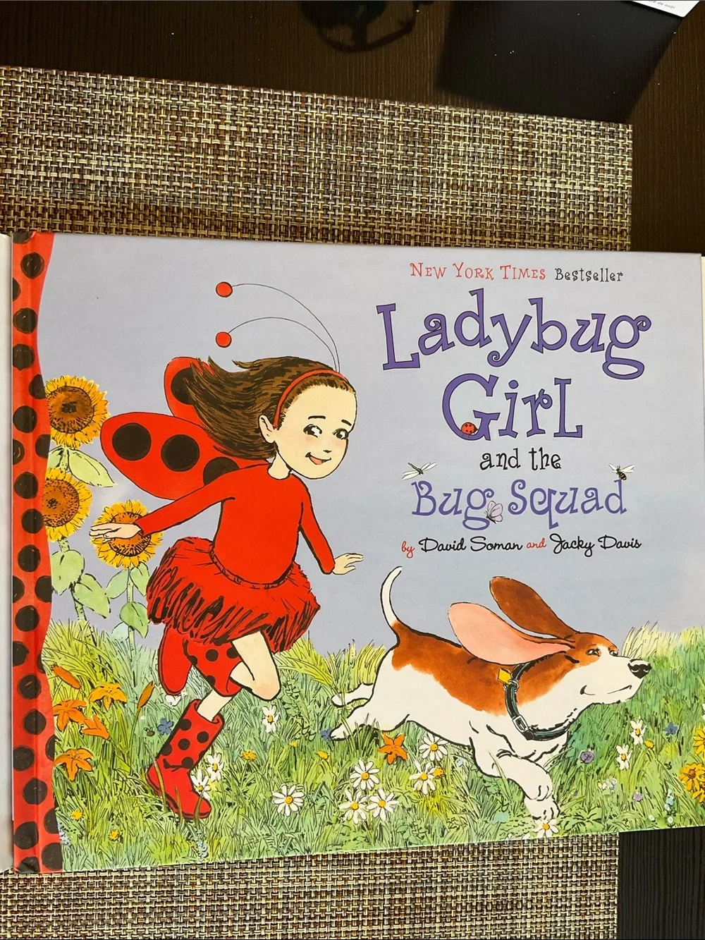 Ladybug Girl and the Bug Squad, Hardcover NWT